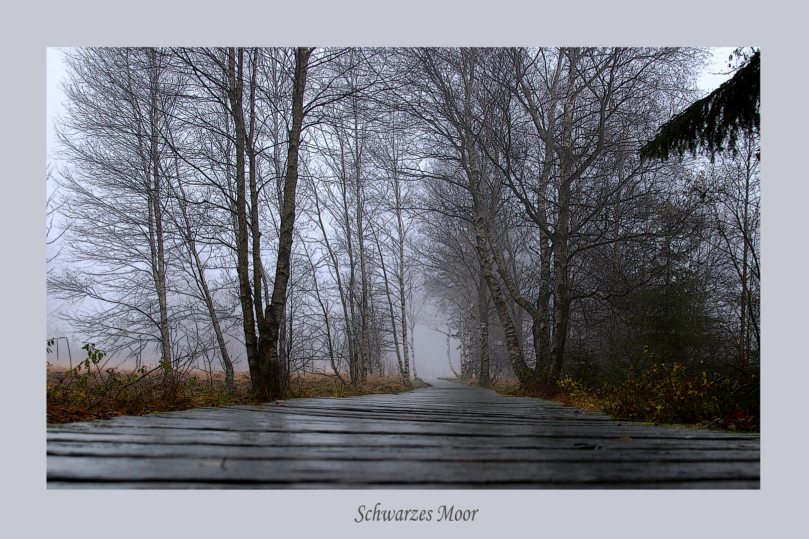 November am Schwarzen Moor