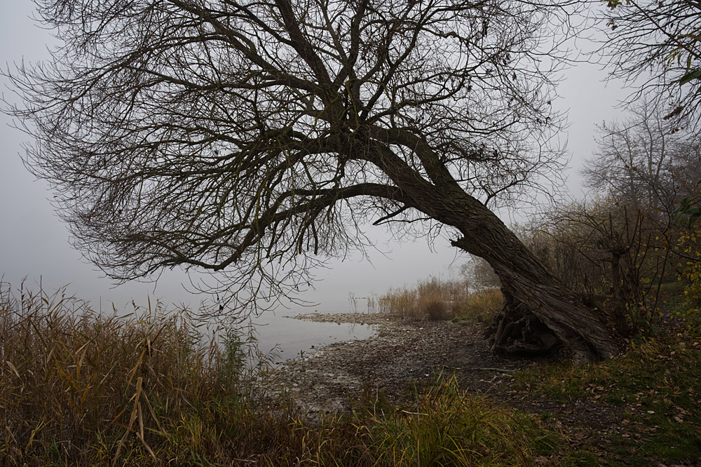 November am See