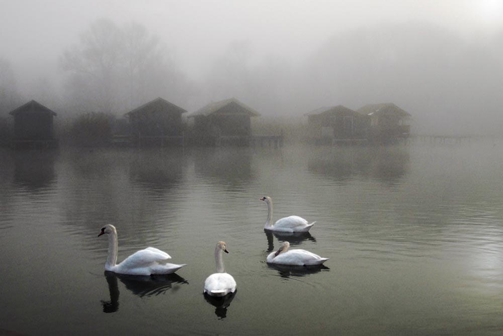 November am Starnberger See