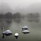 November am Starnberger See