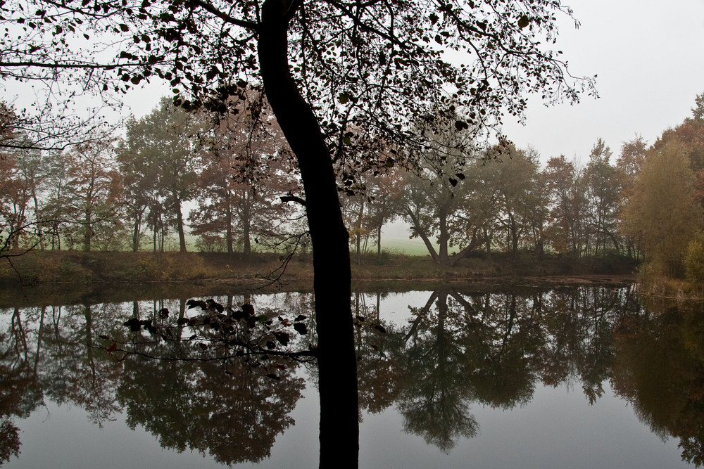 November am Teich