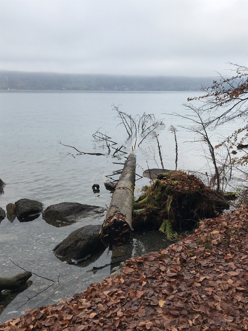 November am Thunersee 