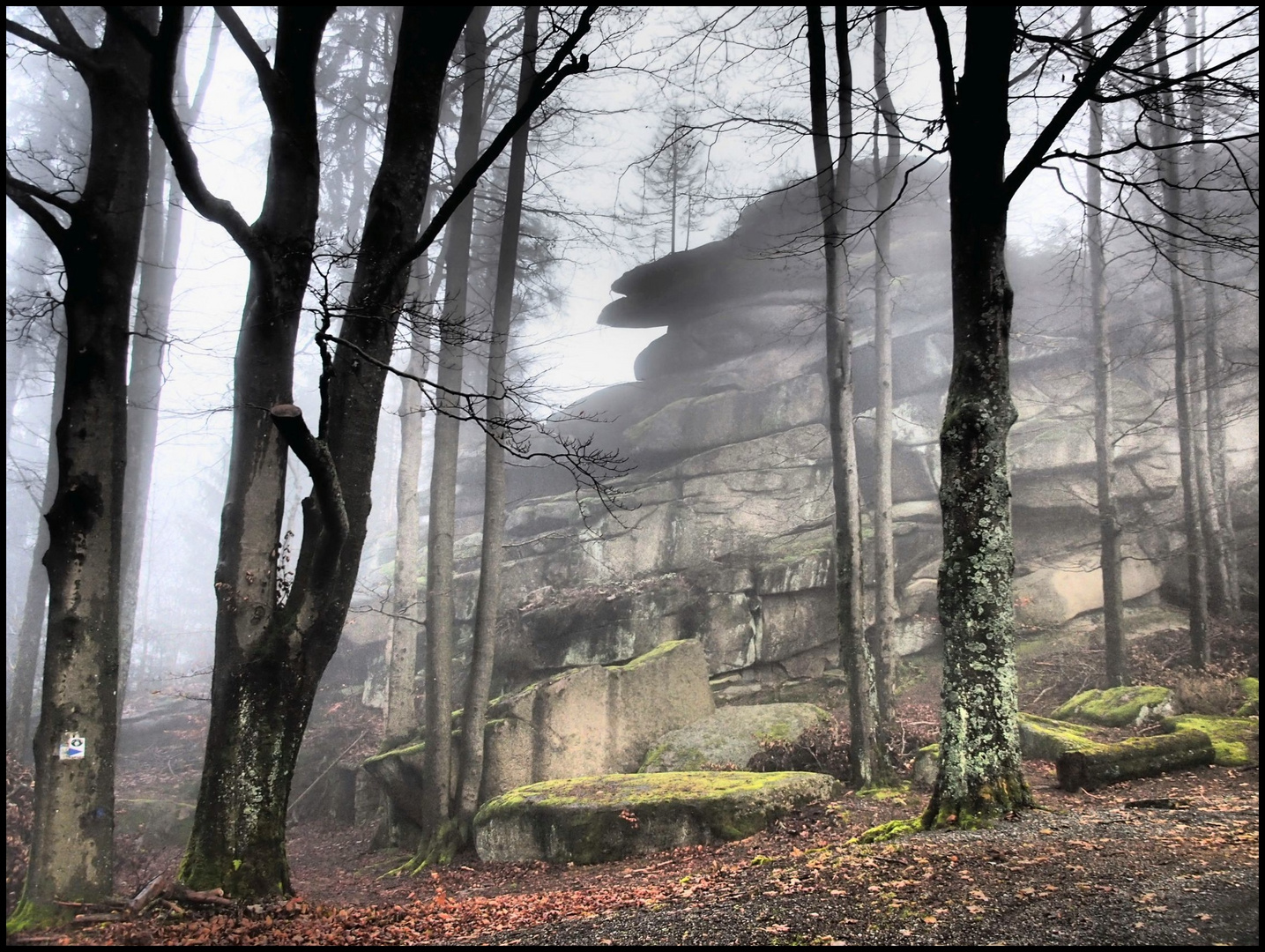 November am Waldstein