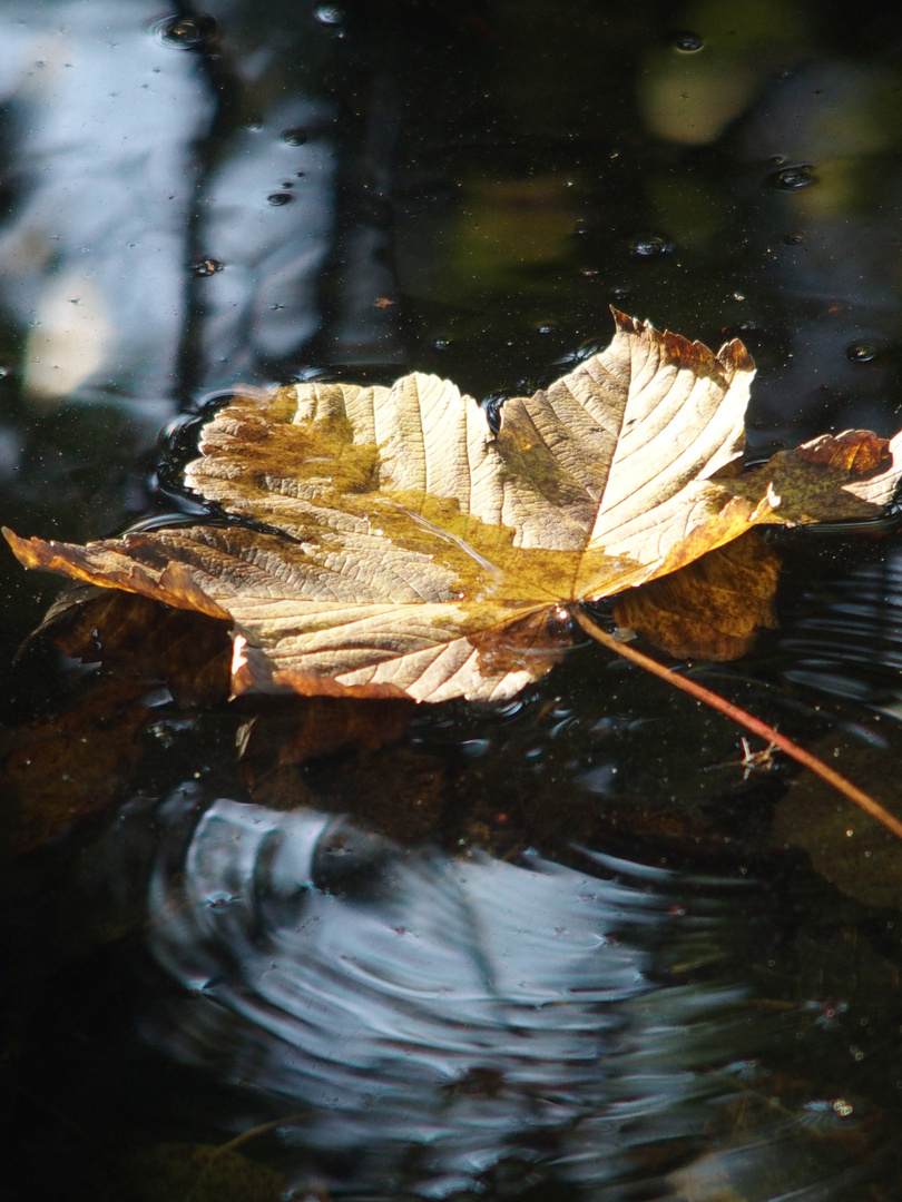 November an den Kuhlen 3