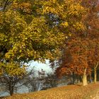 November an der Aare