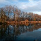 November an der Donau