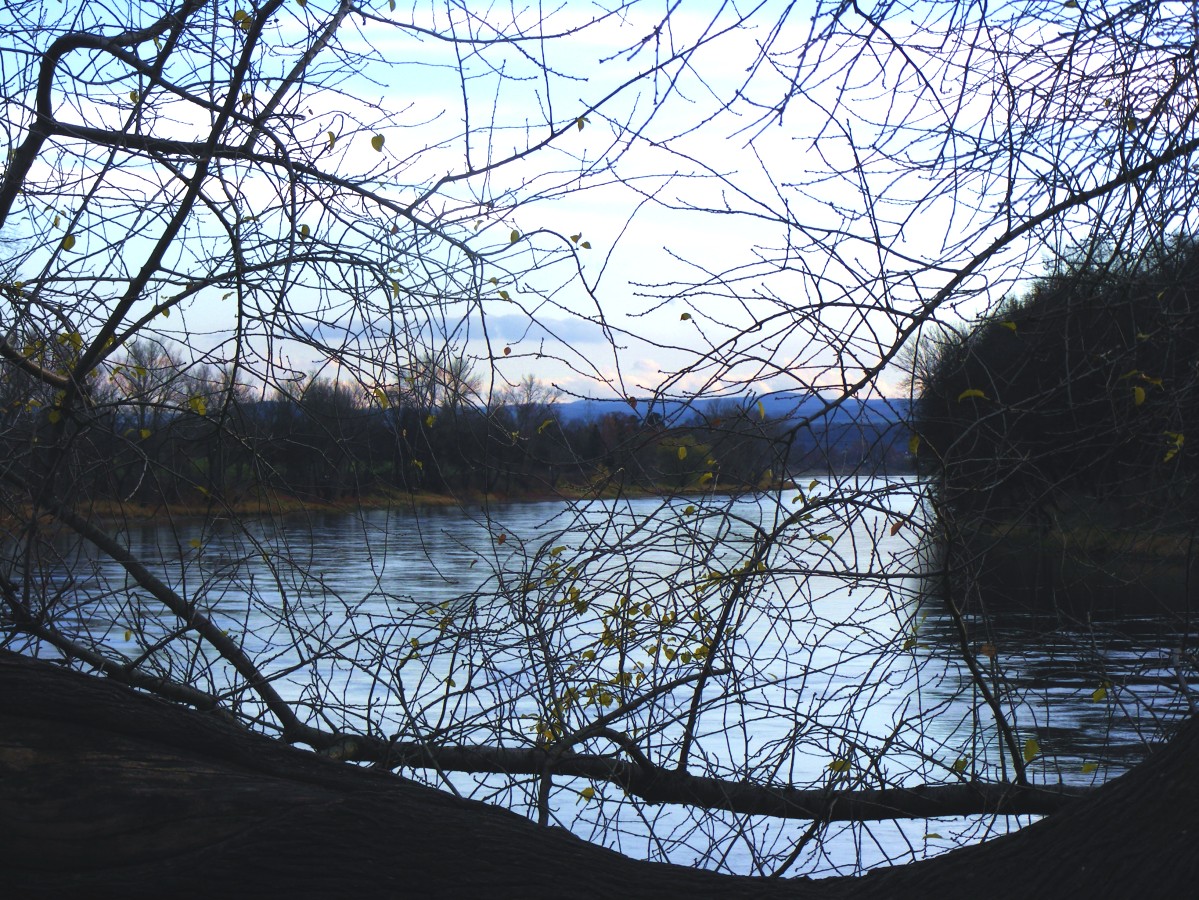 November an der Elbe