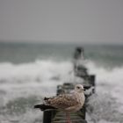 November an der Ostsee