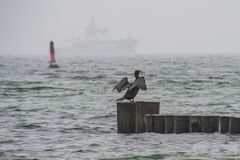 November an der Ostsee