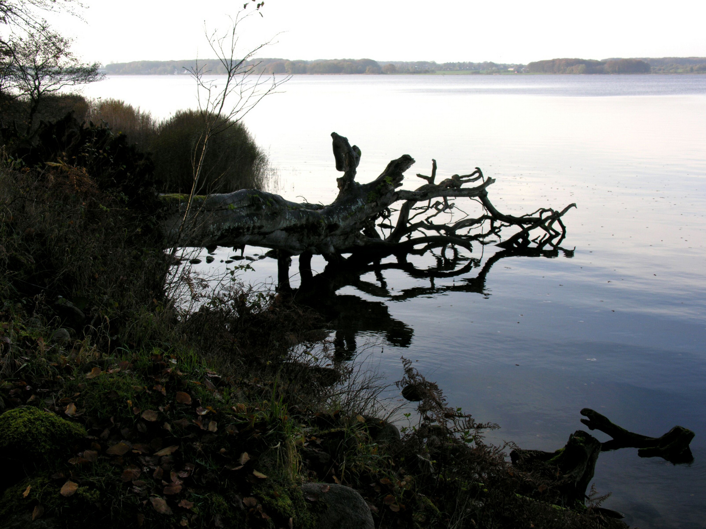 November an der Schlei