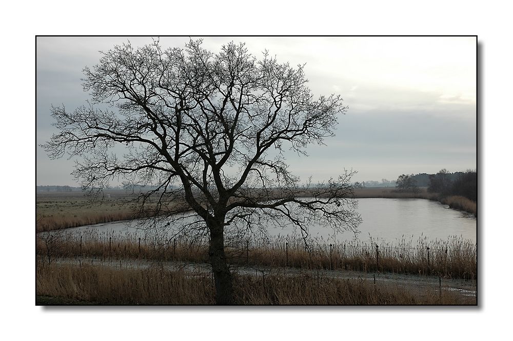 November an der Straminke / Zingst