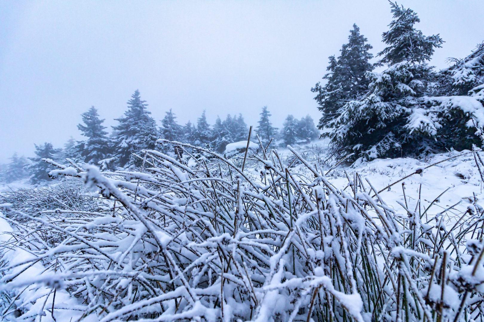 November auf dem Brocken