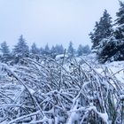 November auf dem Brocken