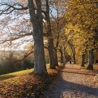 November auf der Insel Mainau