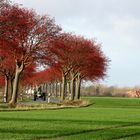 November auf Fehmarn.....