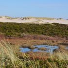 November auf Sylt