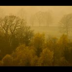 November-Betrübnis nistet in den Ästen... - (1. der Serie "November-Nebel")