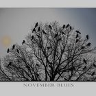 November Blues