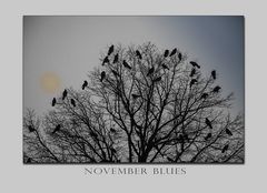 November Blues