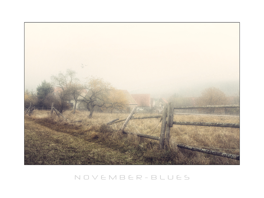 November Blues III
