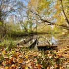 „November Boat“