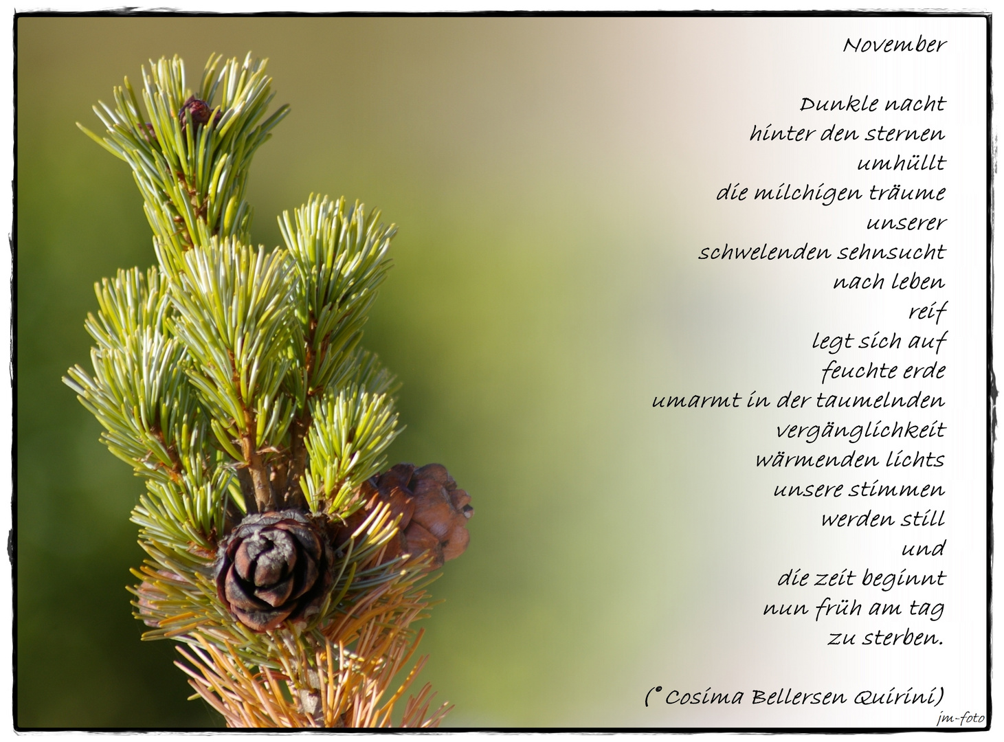 November Dunkle nacht....................... Foto & Bild spruch