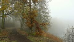 November Fog (1)