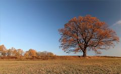 November-Frostmorgen