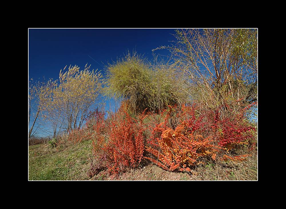 November Herbst - 2