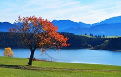 November im Allgäu