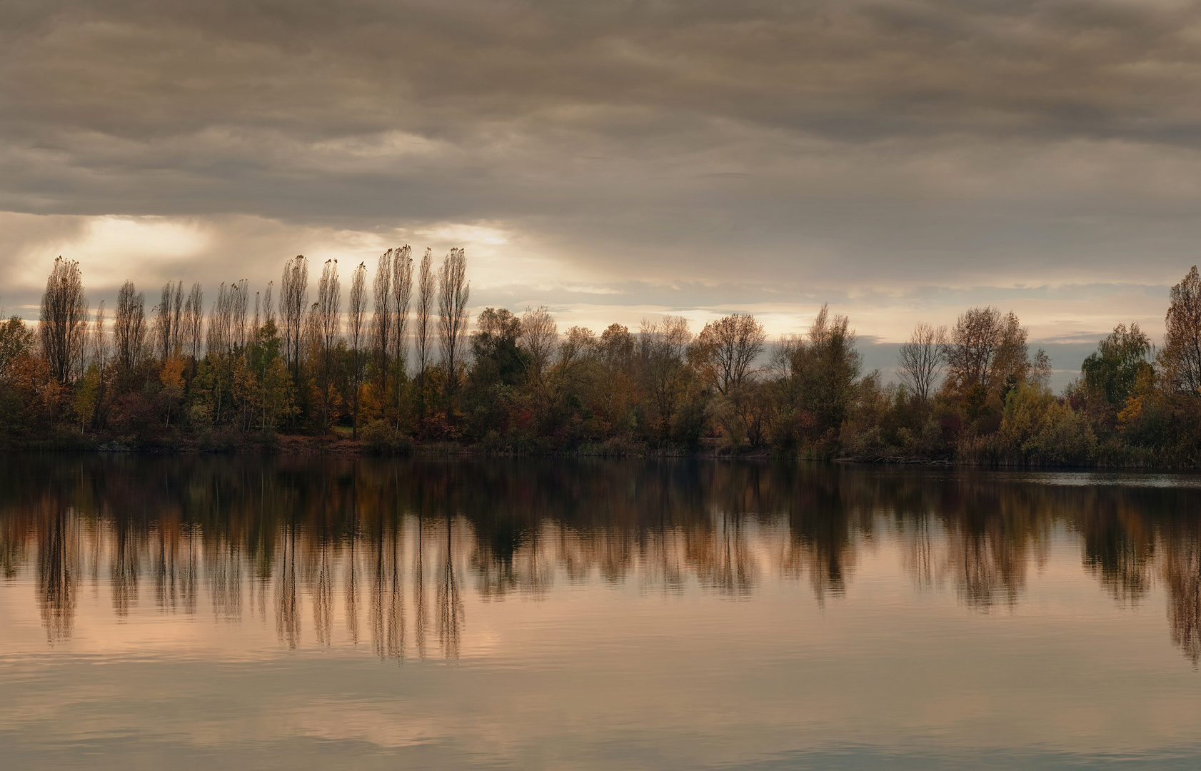 November im Binsfeld Speyer