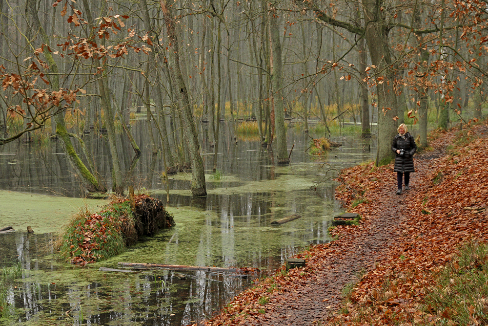 November im Briesetal