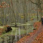 November im Briesetal