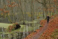 November im Briesetal