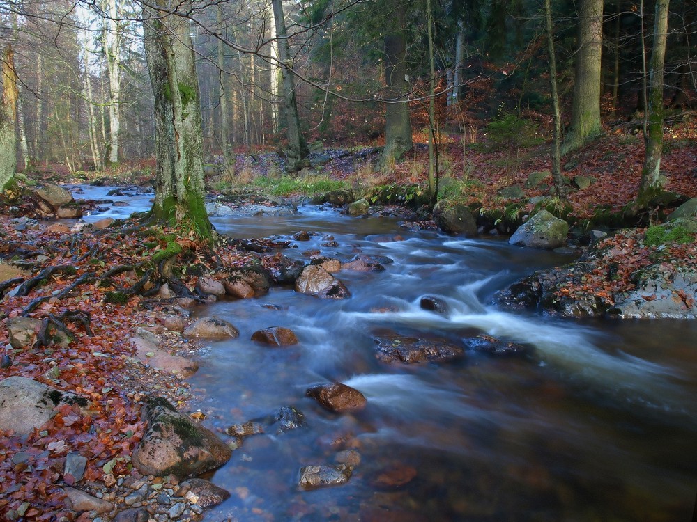 November im Elendstal