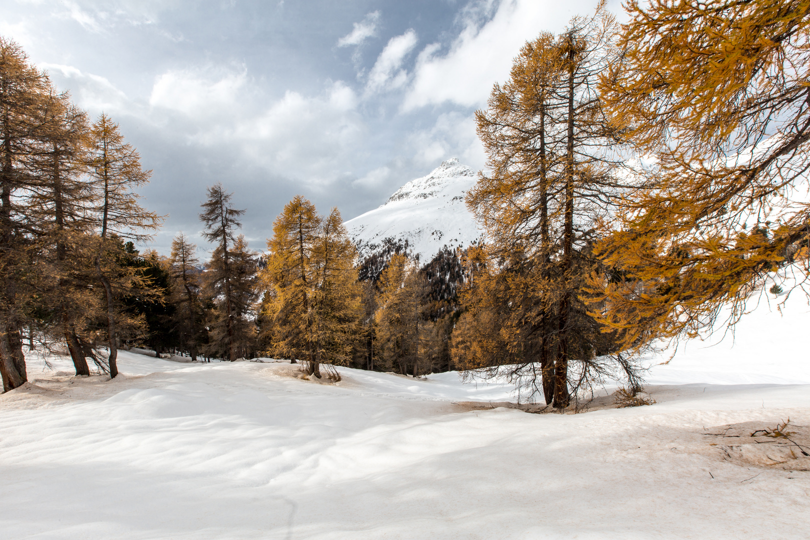 November im Engadin (2)