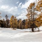 November im Engadin (2)