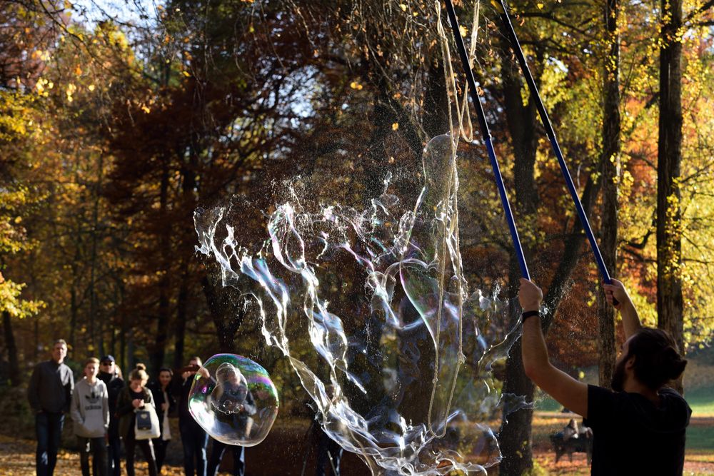 November im englischen Garten