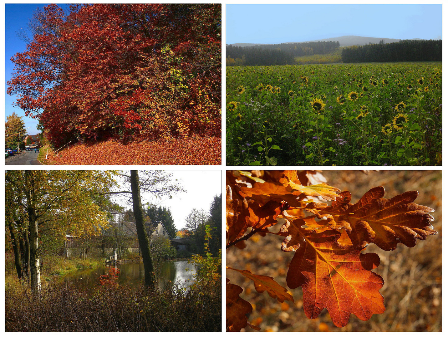 November im Fichtelgebirge