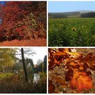 November im Fichtelgebirge