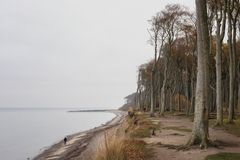 November im Gespensterwald 
