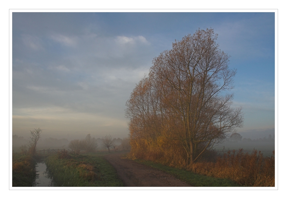 November im Moor