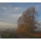 November im Moor