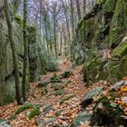 November im Naturpark Siebengebirge