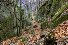 November im Naturpark Siebengebirge