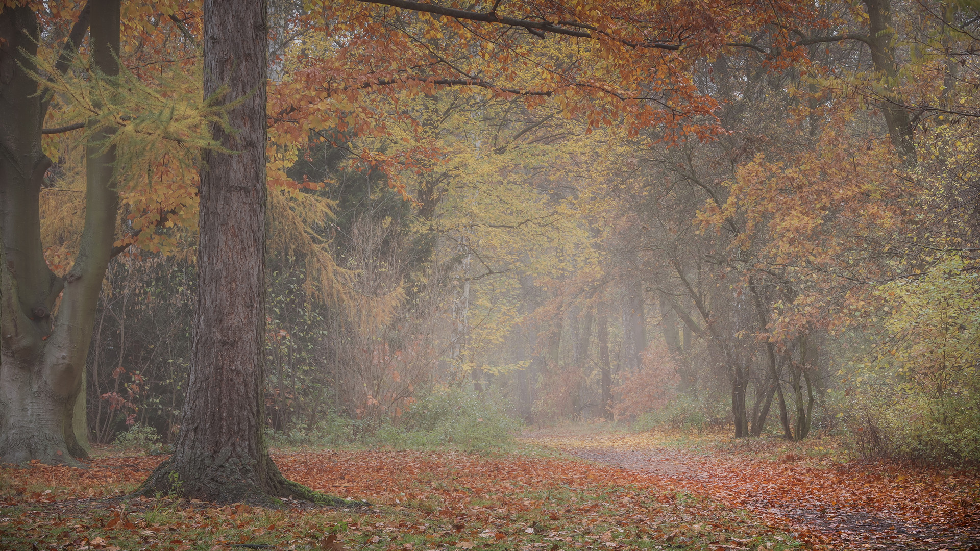 November im Park