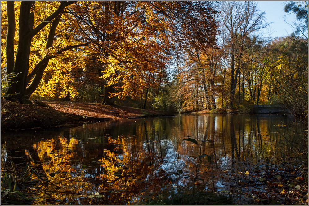 November im Park ..