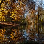 November im Park ..