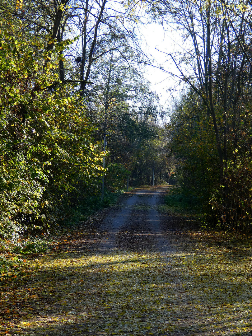 November im Park 2