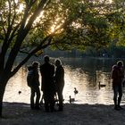 November im Park